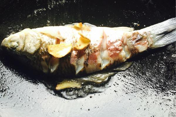鲫鱼豆腐汤的做法图解4