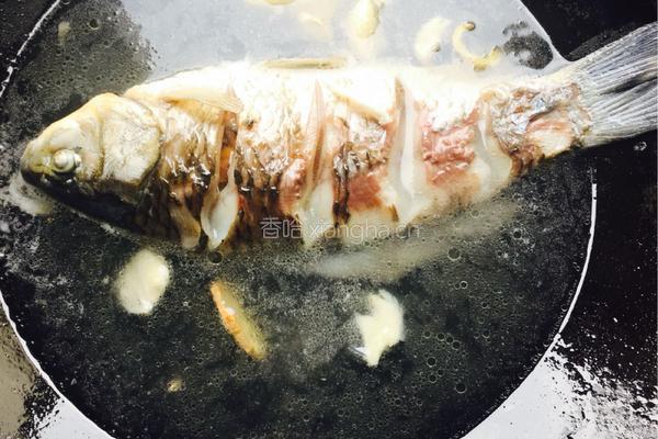 鲫鱼豆腐汤的做法图解5
