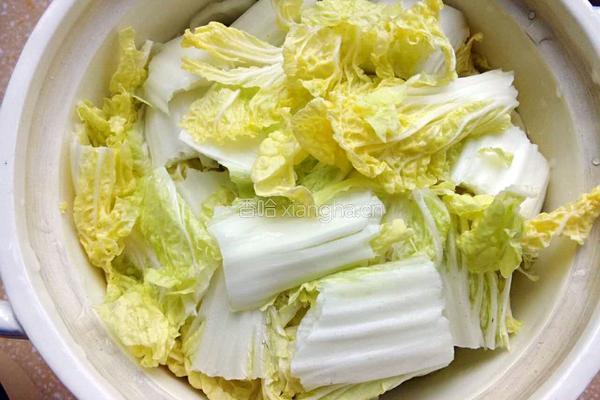 砂锅炖五花肉冻豆腐娃娃菜的做法图解6
