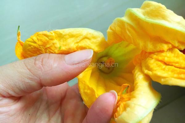 南瓜花酿肉的做法图解4