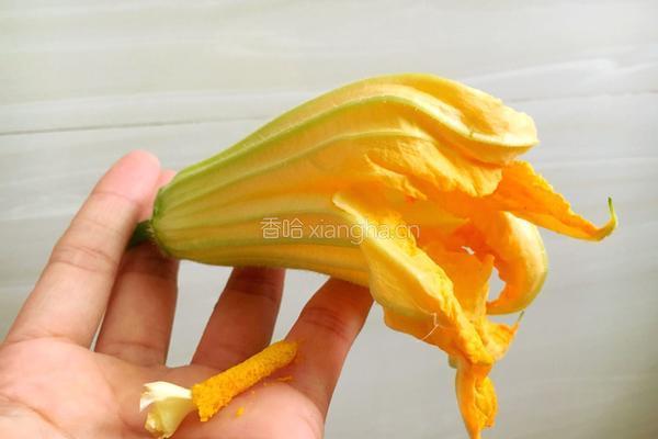 南瓜花酿肉的做法图解5
