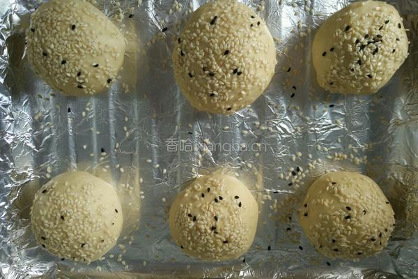 基础汉堡胚的做法的做法图解10