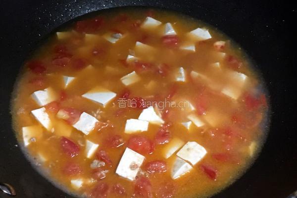西红柿炖豆腐的做法图解5