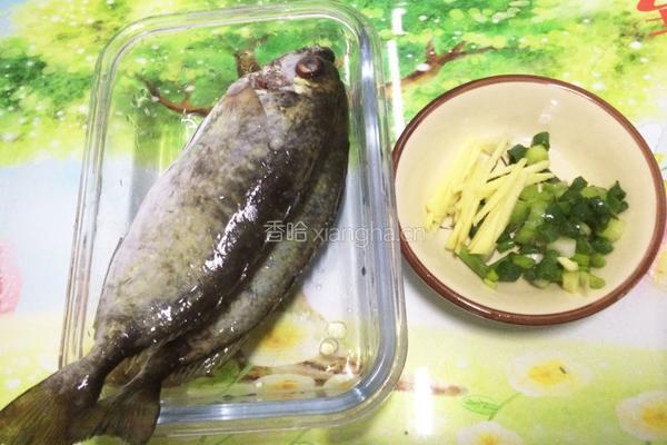 香煎泥猛鱼的做法图解2