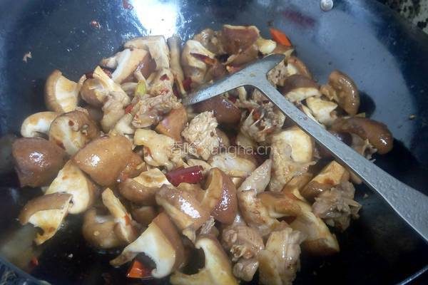 香菇闷土鸡的做法图解5