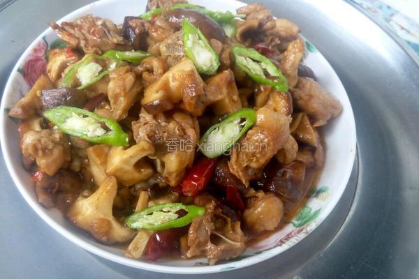 香菇闷土鸡的做法图解6