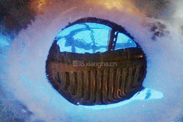 蒜蓉小青菜的做法图解3