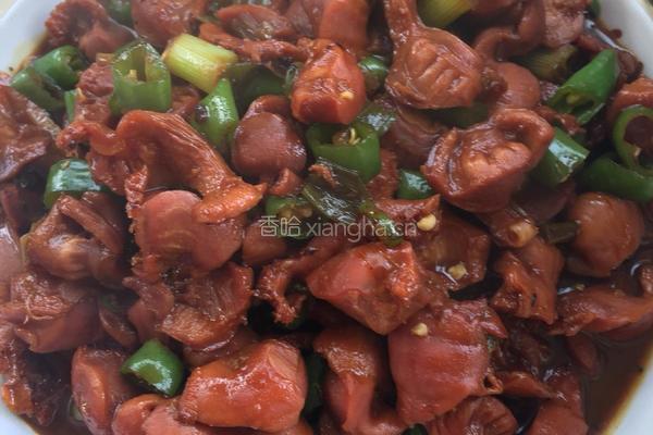 红烧鸡胗的做法图解6