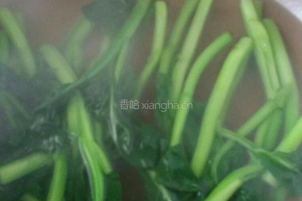 白灼里脊菜心的做法图解2