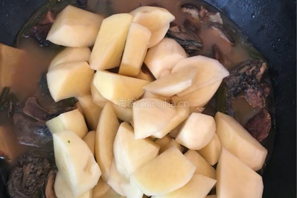 营养乌鸡炖土豆的做法图解9