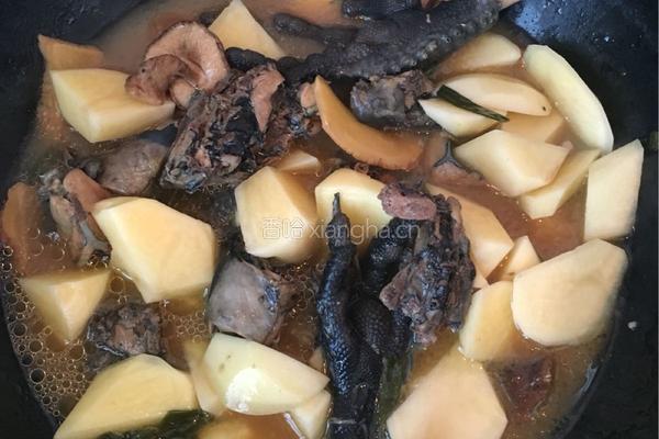 营养乌鸡炖土豆的做法图解10