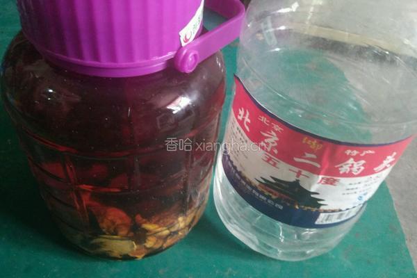 玛卡干果酒