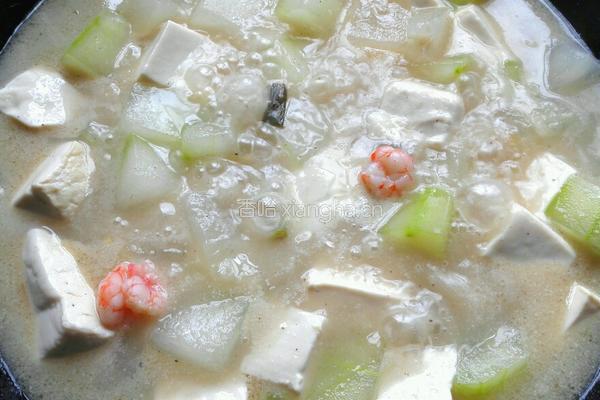 冬瓜虾仁烧豆腐的做法图解9