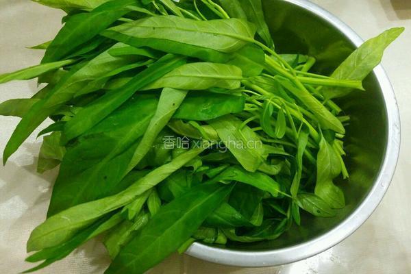 白灼空心菜的做法图解1