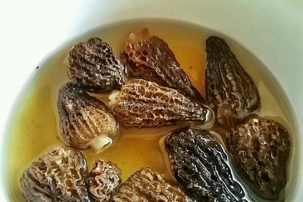 鲍汁三宝(羊肚菌 花菇 冬瓜)的做法图解2