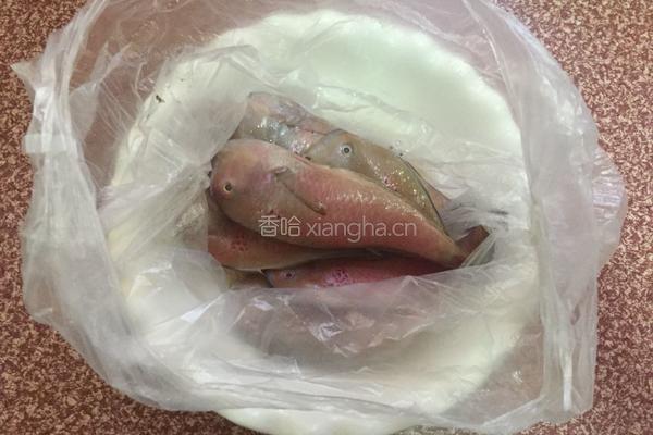 香煎马头鱼的做法图解1