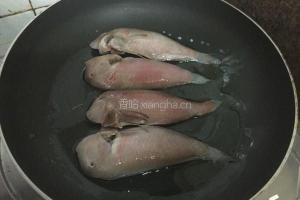香煎马头鱼的做法图解3