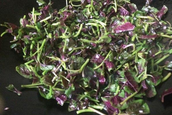 蒜香苋菜的做法图解7