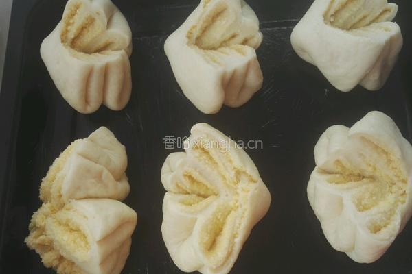 椰蓉花面包的做法图解13