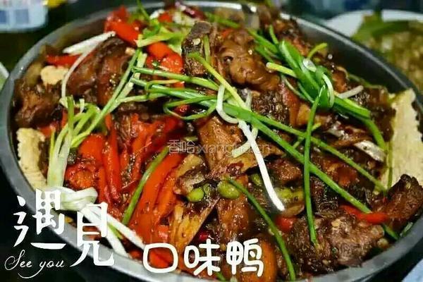 遇见口味鸭
