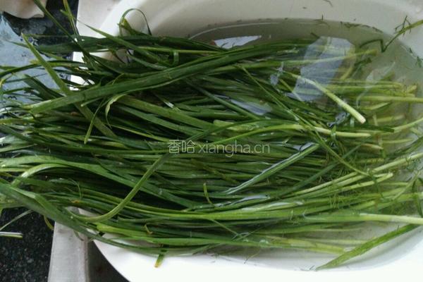韭菜肉丁水煎包的做法图解8