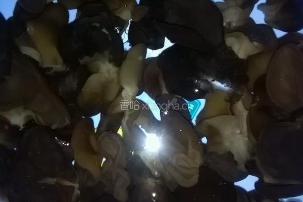 凉拌黑木耳的做法图解4