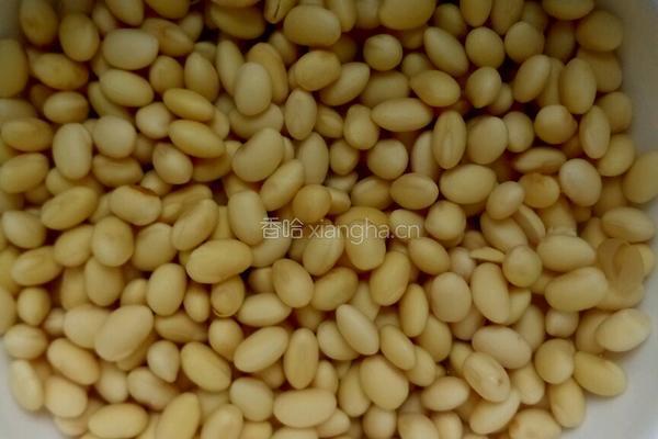 荷叶豆浆的做法图解2