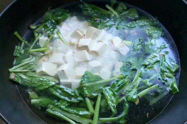 青菜豆腐汤的做法图解6