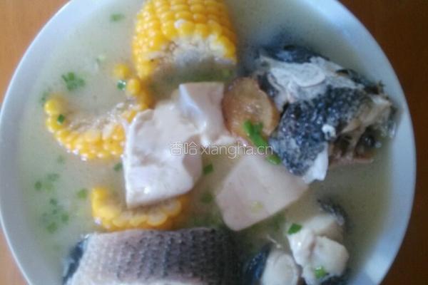 黑鱼玉米豆腐汤的做法图解9