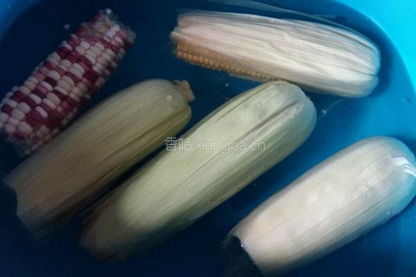 水煮玉米的做法图解1