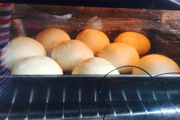 养颜红豆小面包的做法图解10