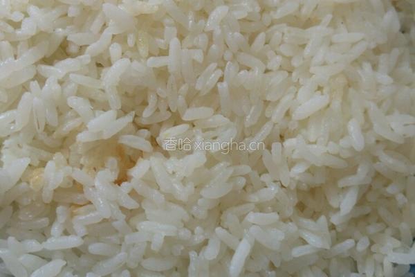 电饼铛芝士焗饭的做法图解5
