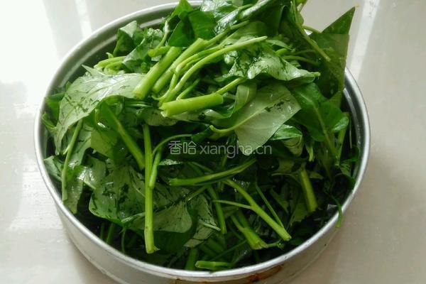 蒜蓉空心菜的做法图解1