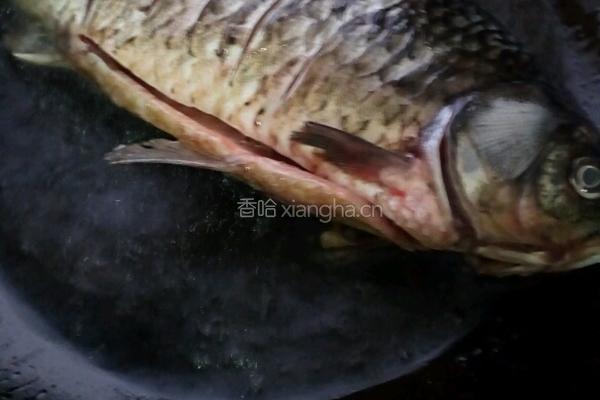 红烧鲫鱼的做法图解4