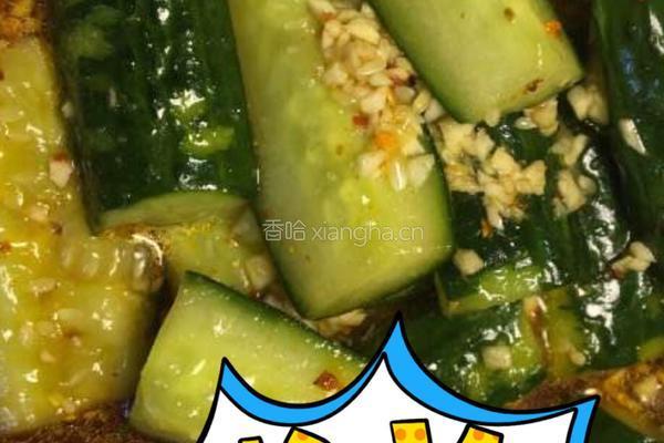 凉拌黄瓜