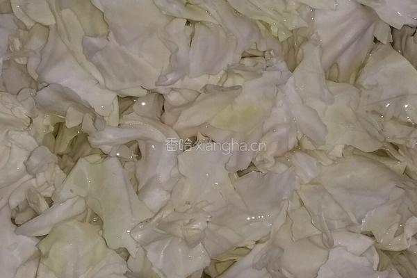 手撕包菜炒粉条的做法图解1