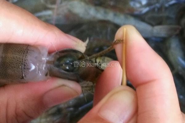 焗虾的做法图解3