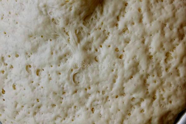 白菜青椒肉包子的做法图解4