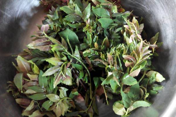 黄豆花椒芽的做法图解3