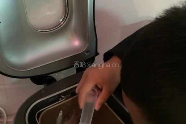 格格牌葡萄干红豆面包的做法图解4