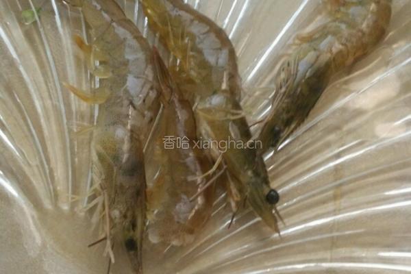 鲜虾云吞的做法图解3