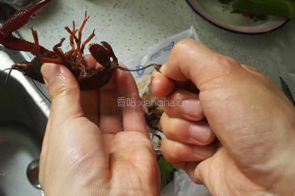 麻辣小龙虾的做法图解2