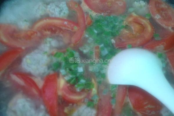 西红柿肉丸汤的做法图解8