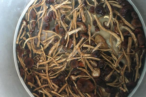 茶树菇炖鹅肉的做法图解3