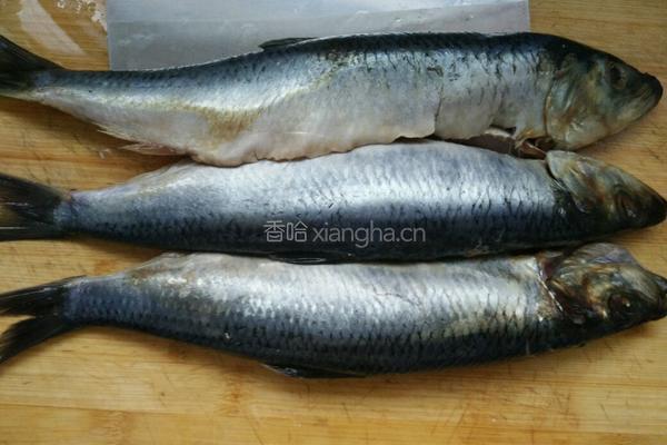 红烧青鱼的做法图解1