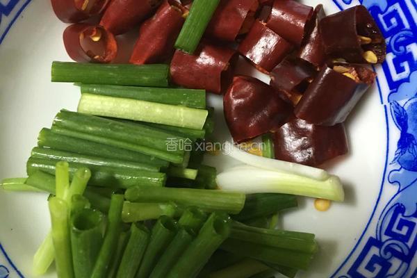 清炒千张的做法图解4
