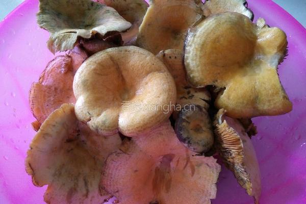 枞树菌瘦肉汤的做法图解1