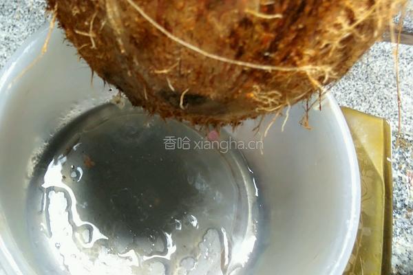 椰子清甜鸡汤的做法图解4