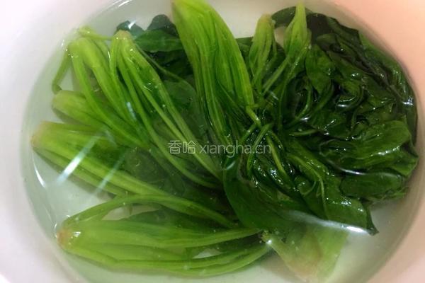果仁菠菜的做法图解3