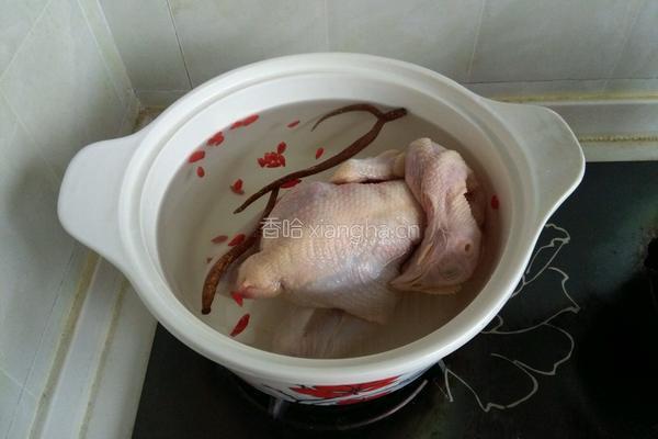 沙锅煲鸡汤的做法图解1